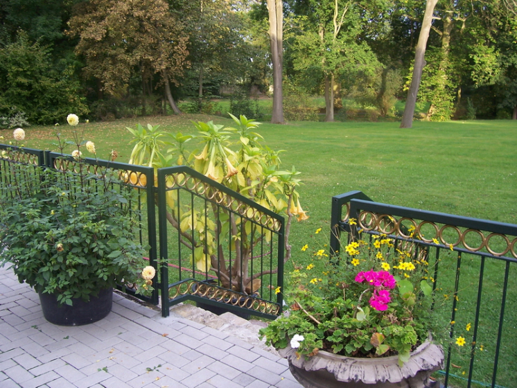 Z11.  Garten des Kloster Meyendorf