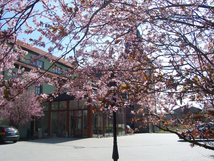 Z16. Kloster Meyendorf im Fruehling