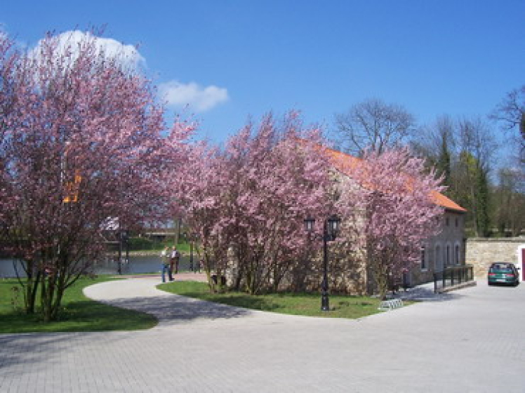 Z17. Kloster Meyendorf im Fruehling